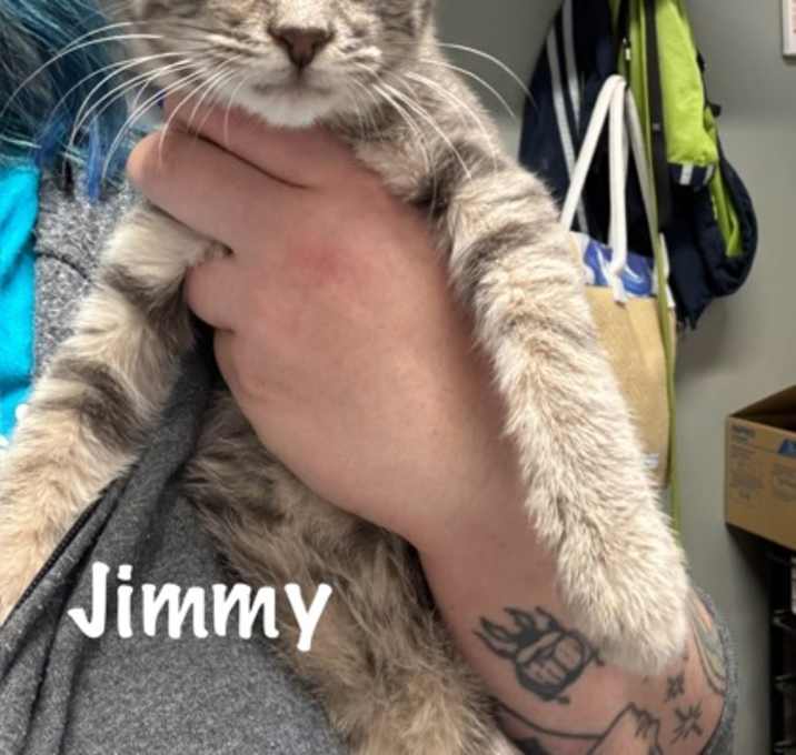 Photo of Jimmy