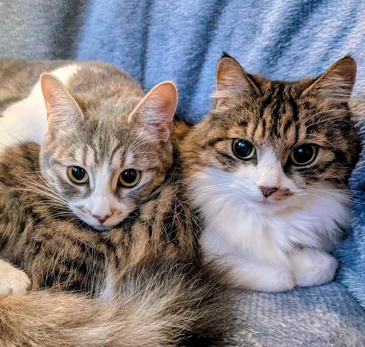 Photo of Fae (Bae) DOB 2/7/2025