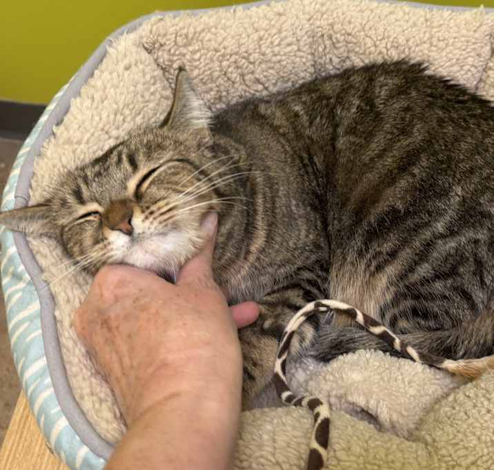 Photo of Autumn (Mustang Sally)