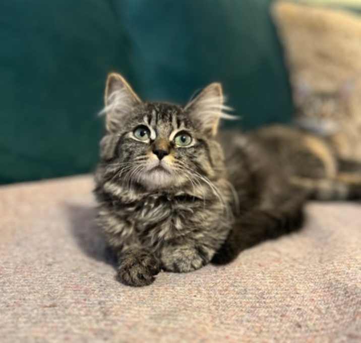 Photo of Long Island