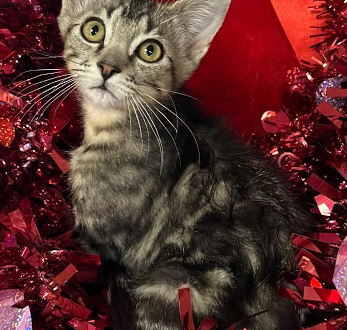 Photo of 10/20/25 - Earl