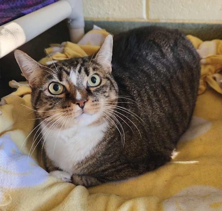 Photo of Little Foot