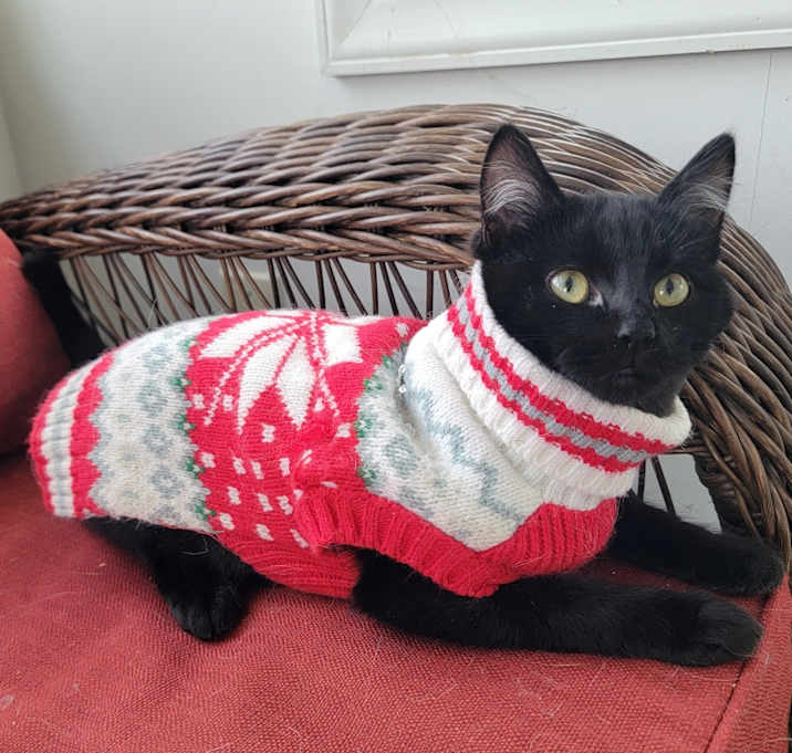 Photo of Jo in Street, MD