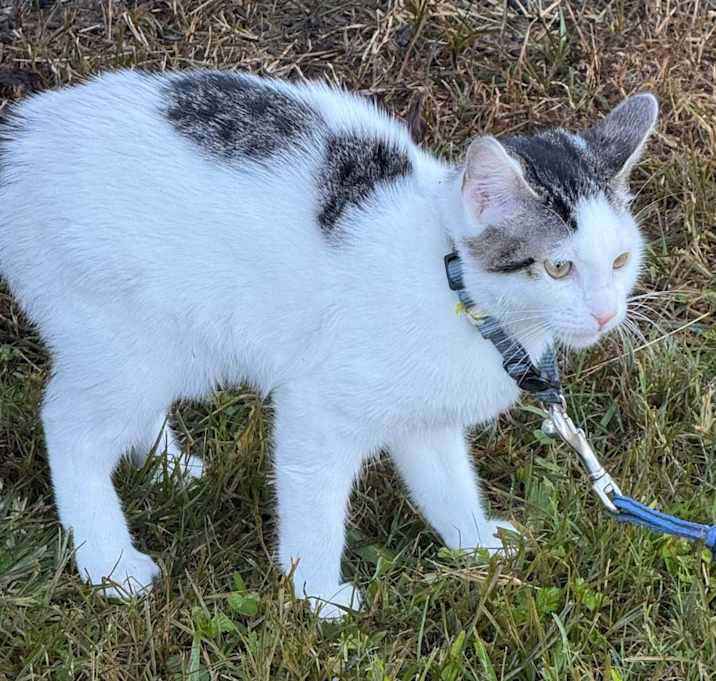 Photo of Toby Sylvester