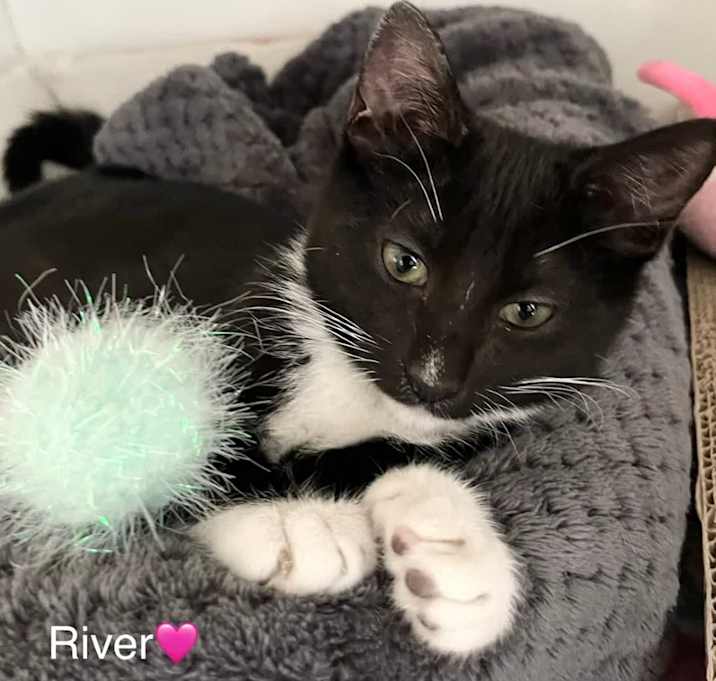 Photo of River