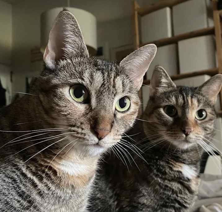 Photo of Peat & Smudge