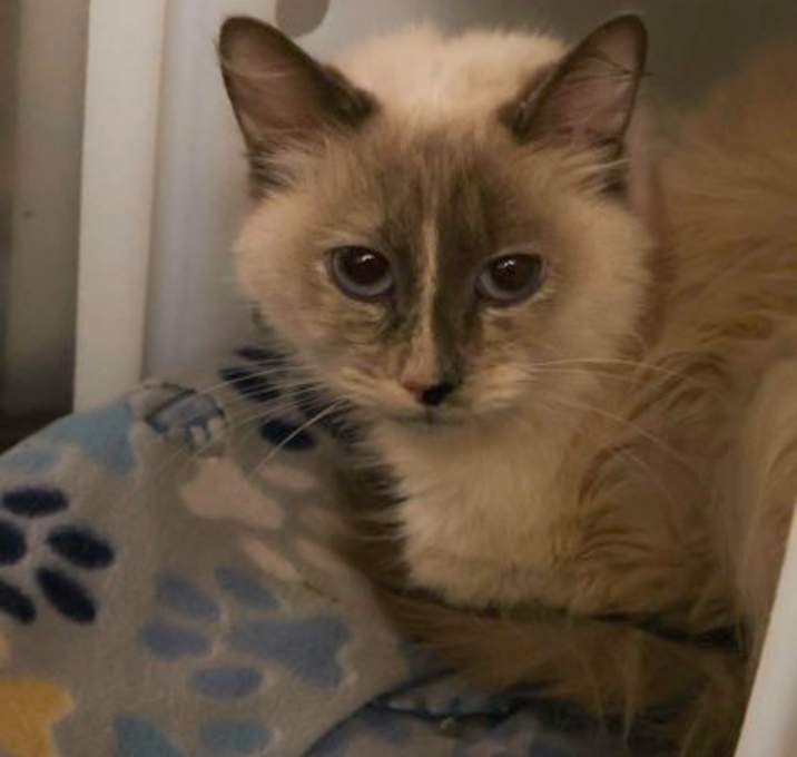 Photo of Jackie Frost