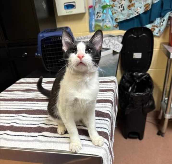 Photo of *HOLLY JOY*