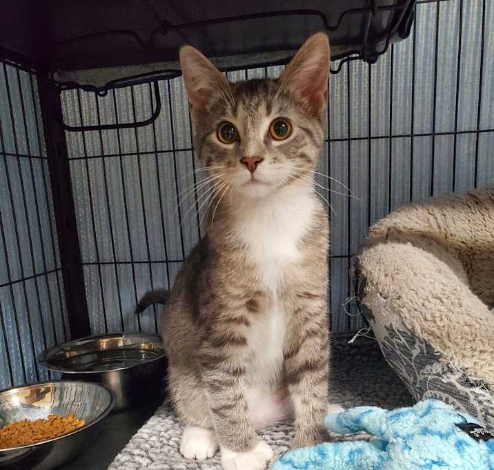 Photo of Tinky - Winky