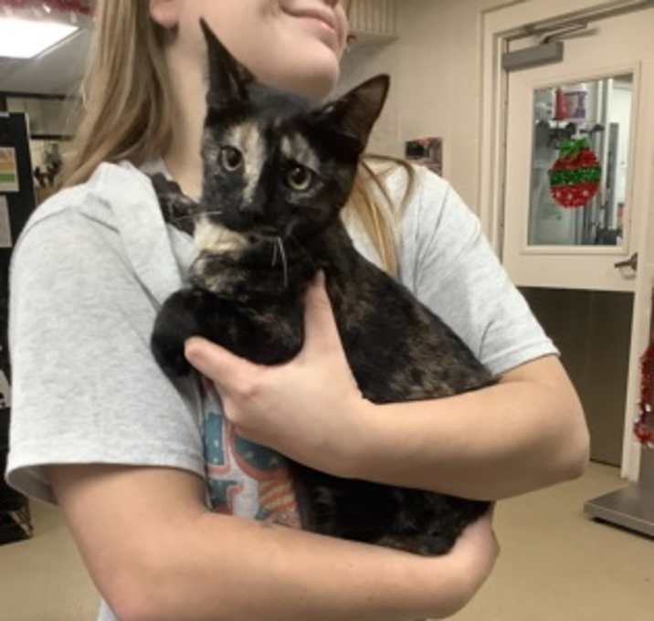 Photo of Mystery (3)