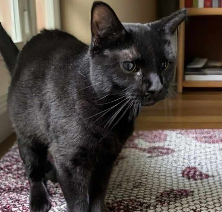 Photo of River (TAS #7)