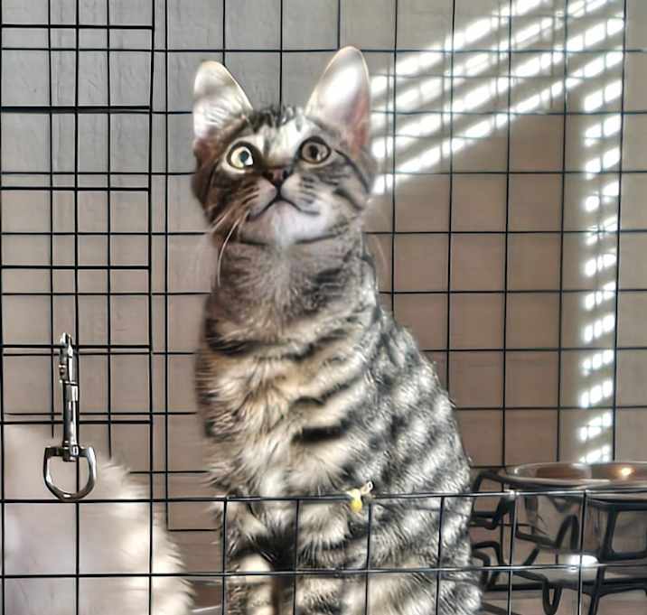 Photo of Trouble (FKA Ana)