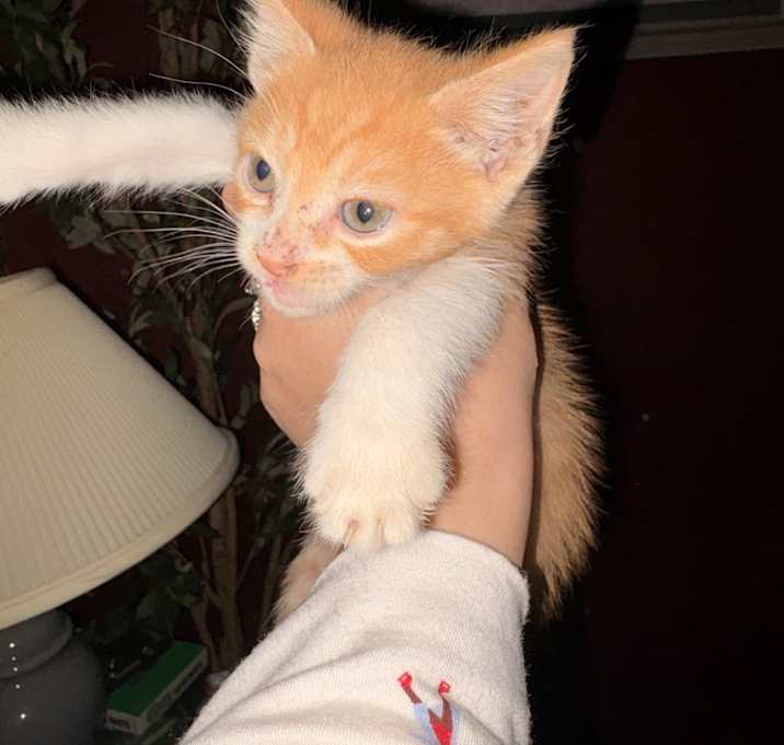 Photo of Tom and Jerry