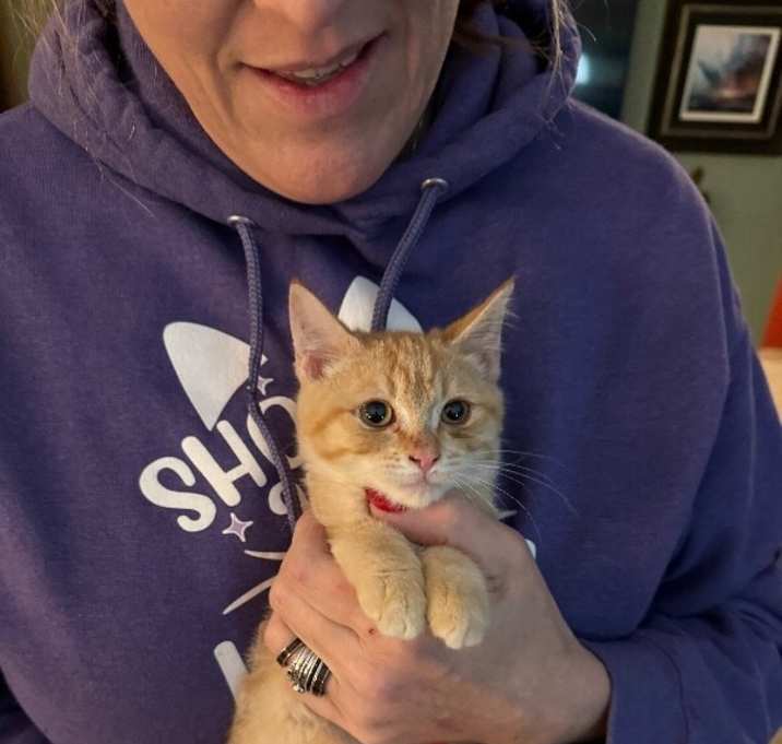 Photo of Heart o’Gold