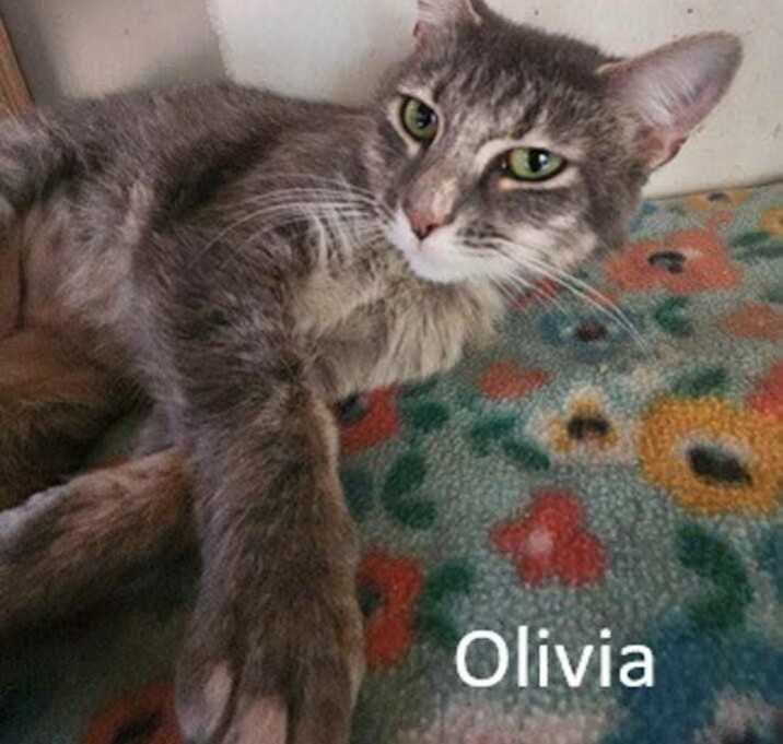 Photo of Olivia