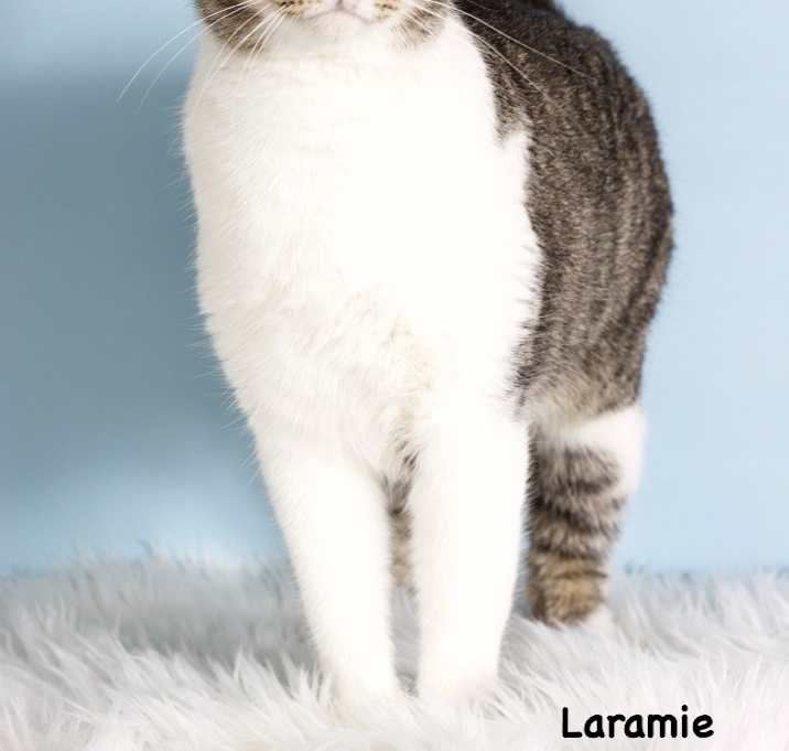 Photo of Laramie