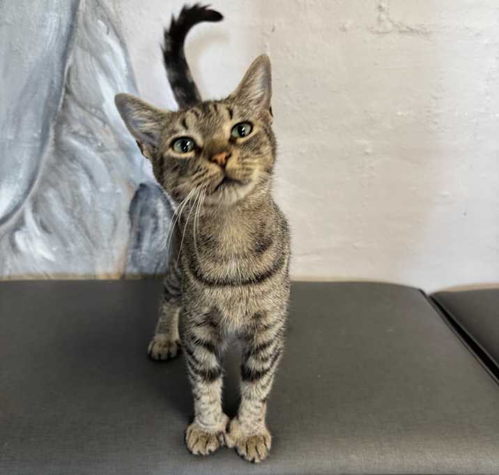 Photo of Little Miss Sunshine