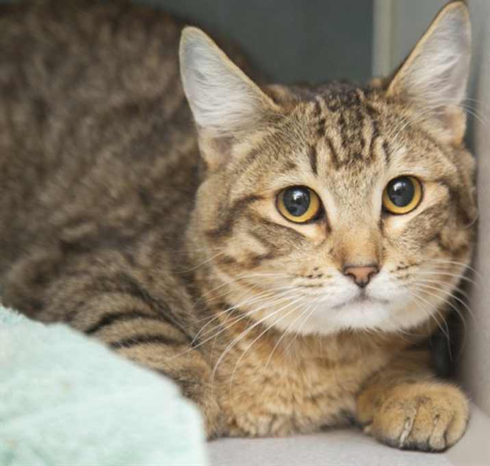 Photo of BABY BOY JUNIOR