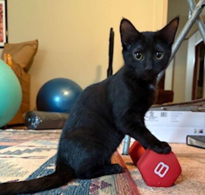 Photo of Lucille Bearpaw