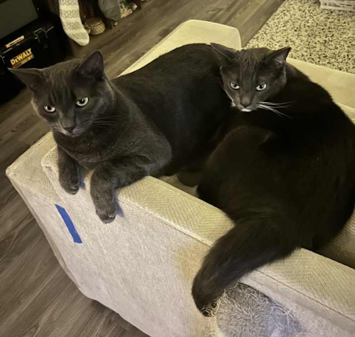 Photo of Lunchbox / Oatmeal