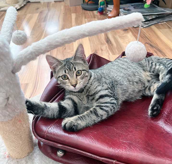 Photo of Corn Pudding