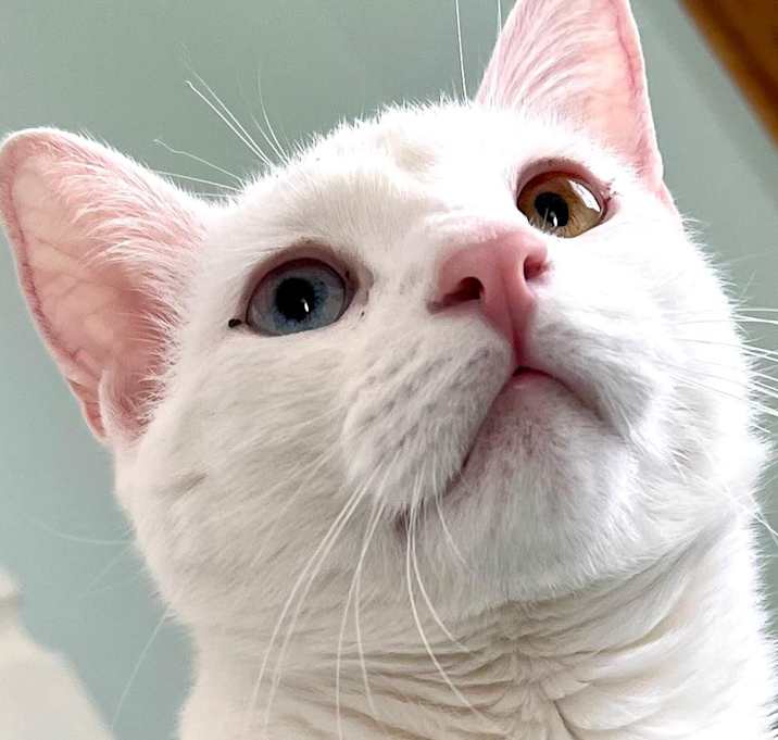 Photo of Stewart (Terry)