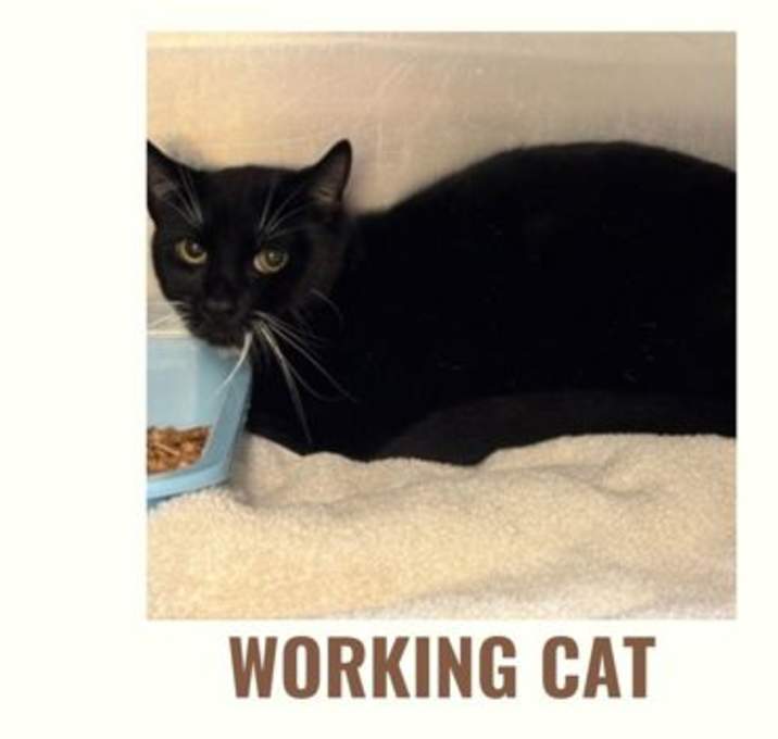 Photo of Tuxedo Tactical Unit