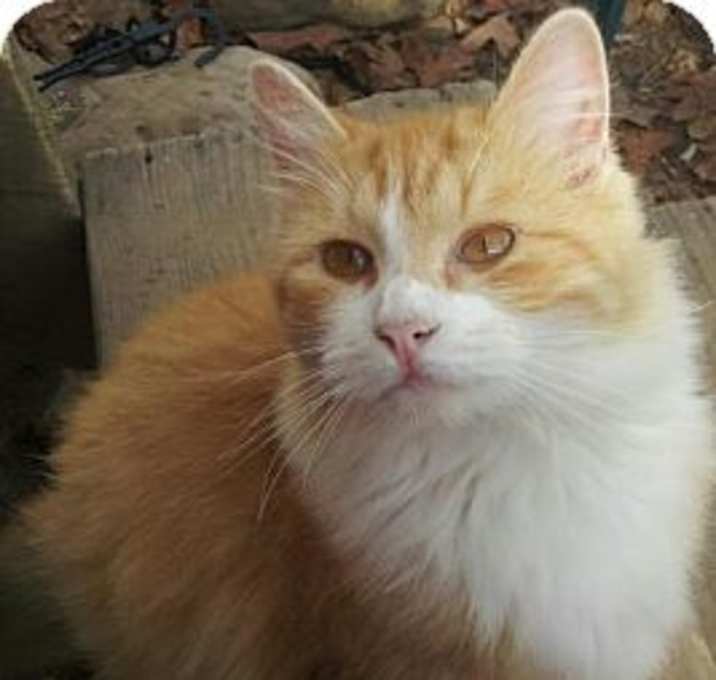 Photo of Cry Baby