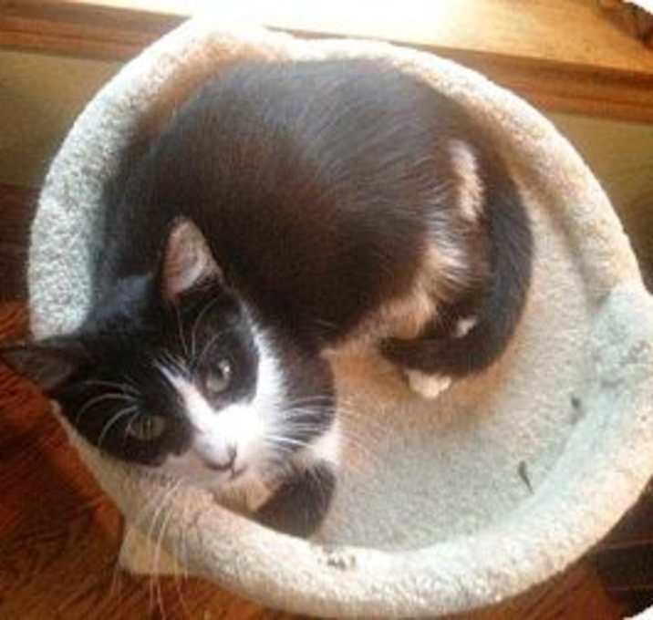 Photo of Mia
