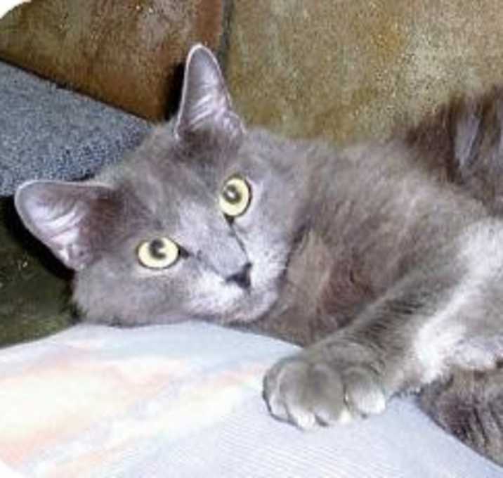 Photo of Bonnie