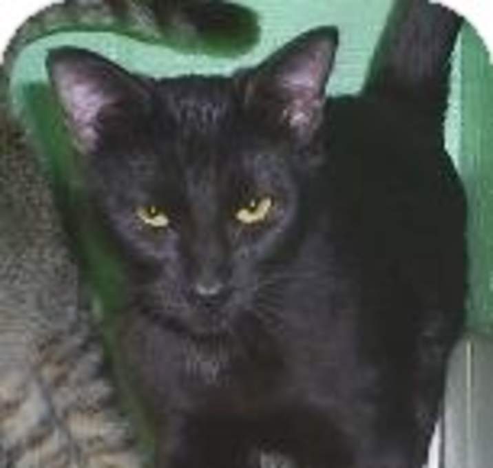 Photo of Poe F12-0127