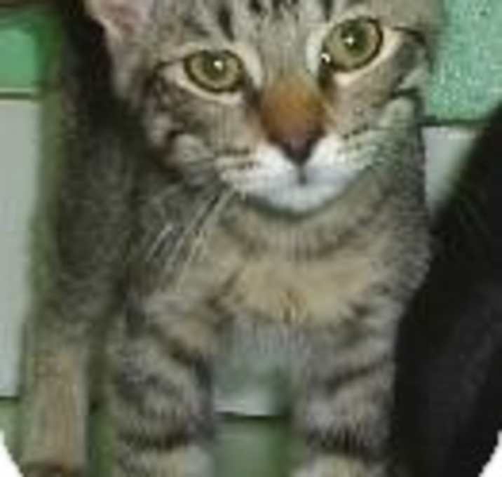 Photo of Padma F12--0128