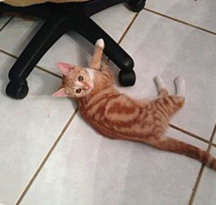 Photo of Swirly
