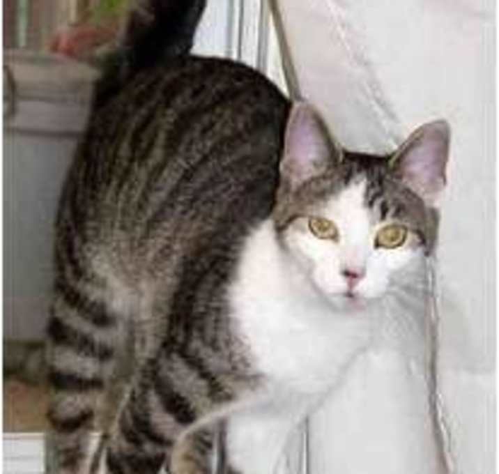 Photo of Cleobelle