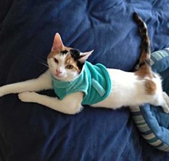 Photo of Sophie