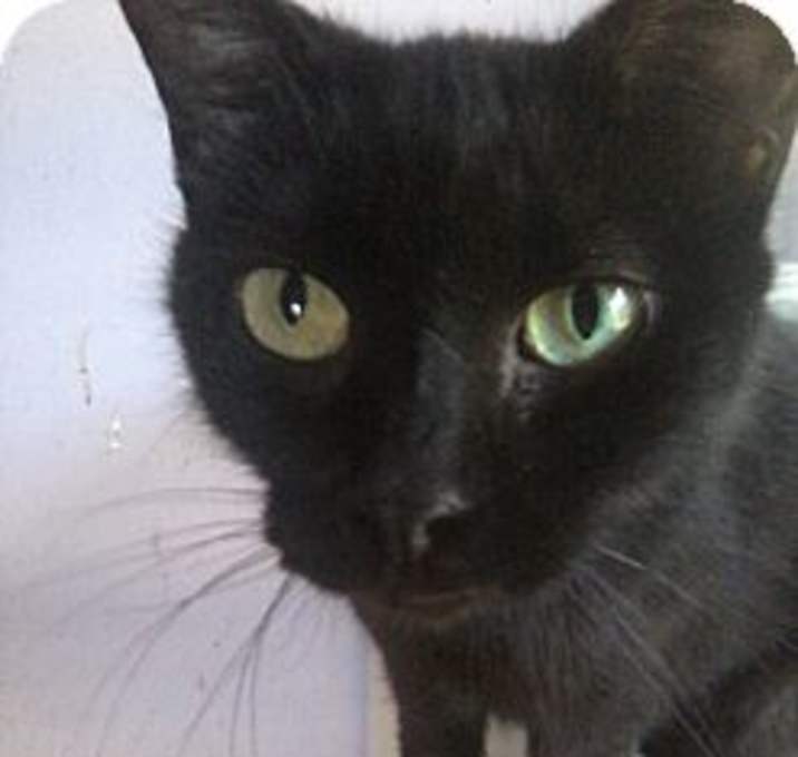 Photo of Babette