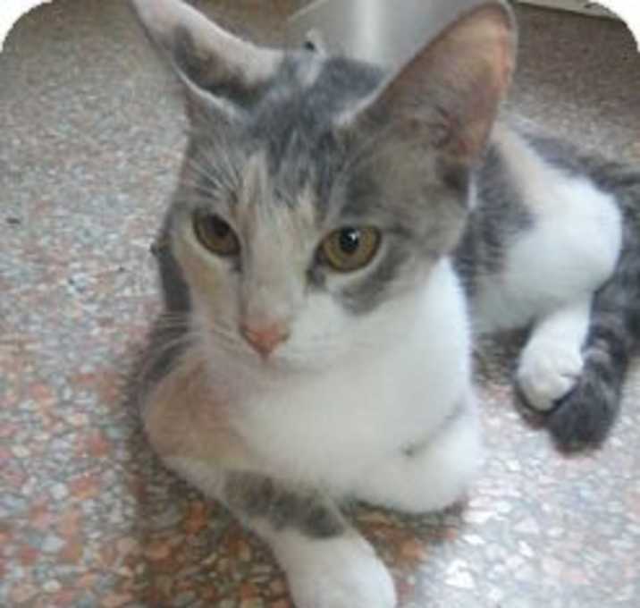 Photo of Shirley