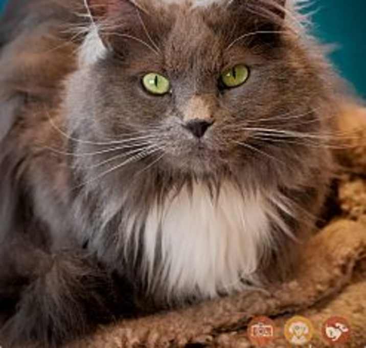 Photo of Tommy