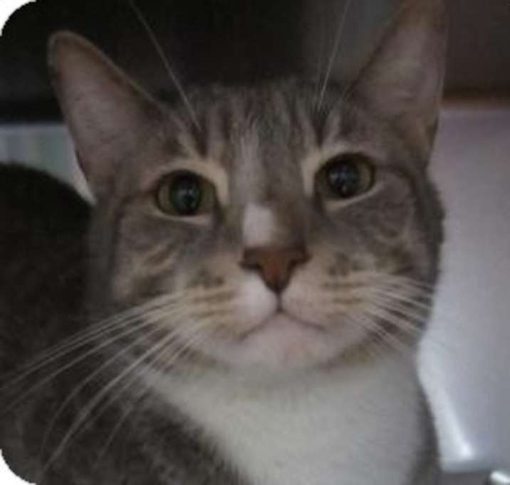 Photo of Maurice