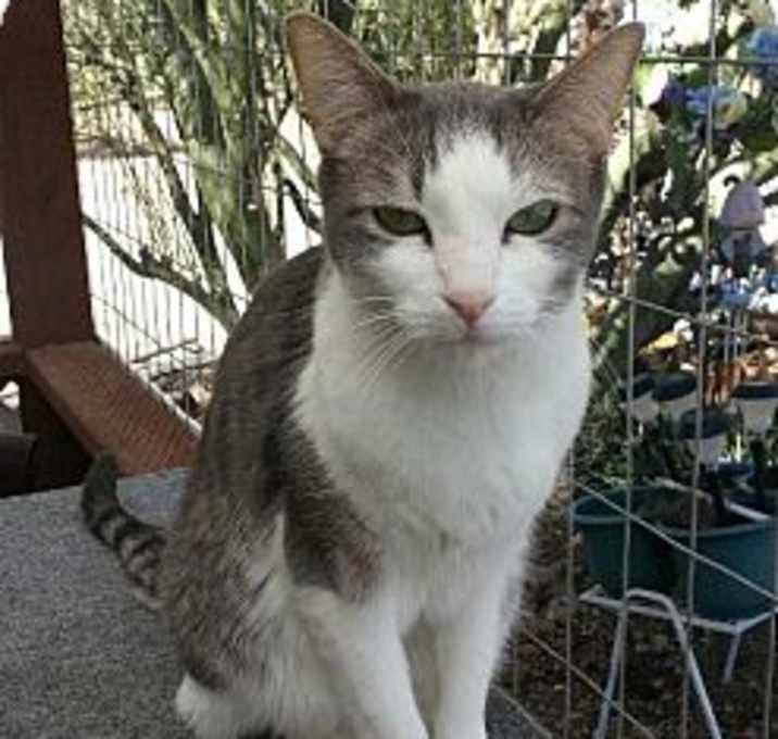 Photo of Luigi