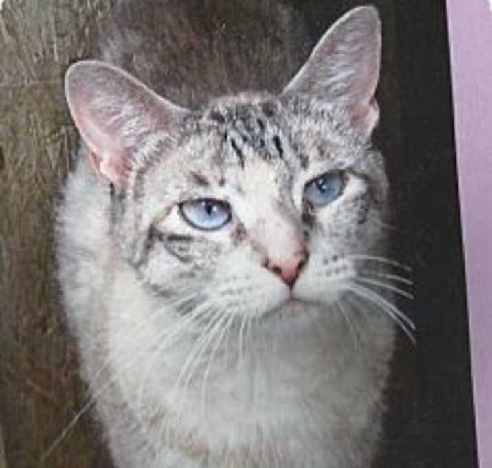 Photo of Blue Bell