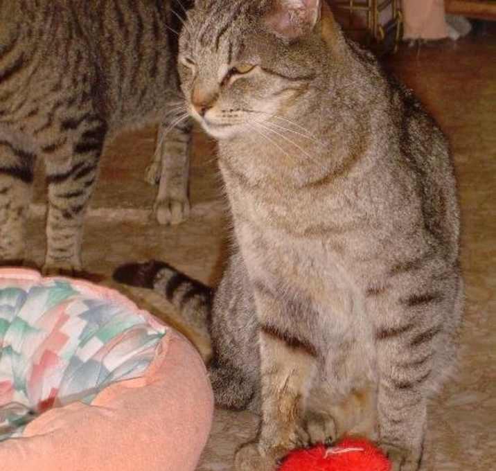 Photo of Momma