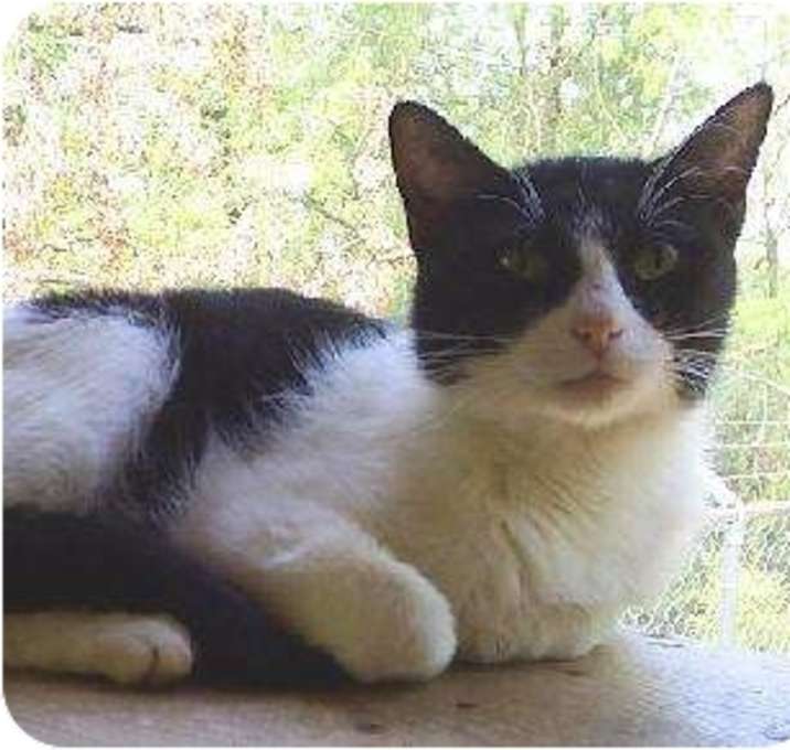 Photo of Kyara,F,0070