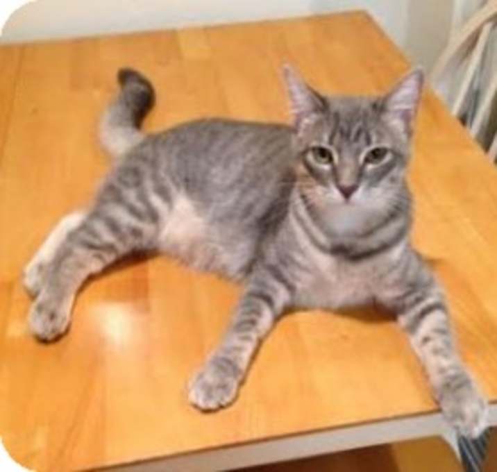 Photo of Tina