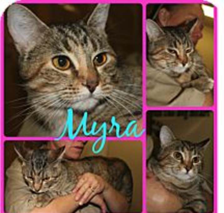 Photo of MYRA