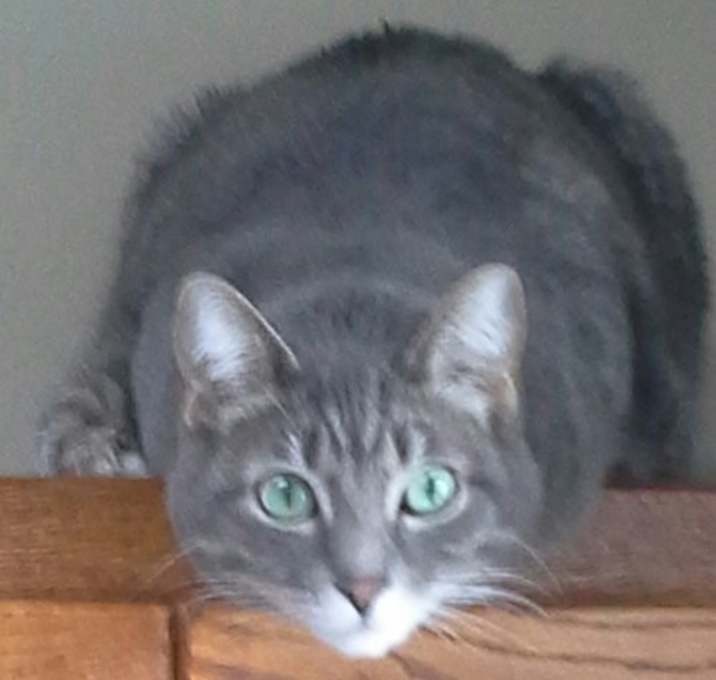 Photo of Windy