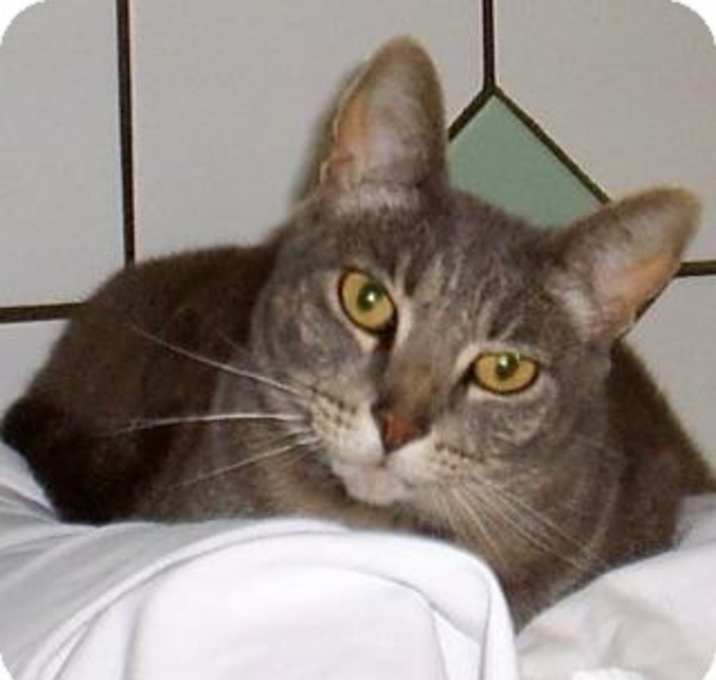 Photo of Holly