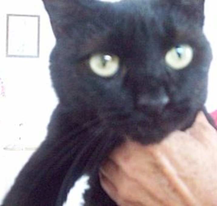 Photo of Squirt
