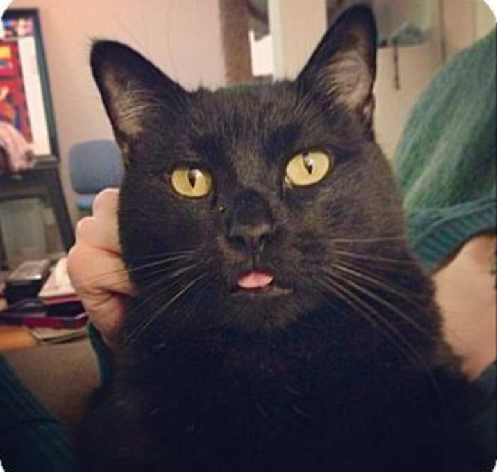 Photo of Jack