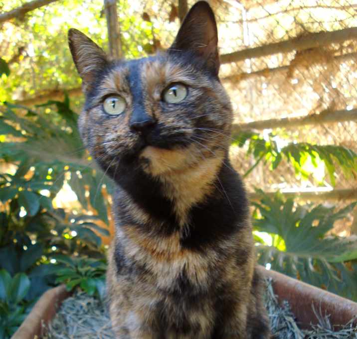 Photo of Olivia